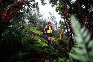 BIB: 
                            <button type="button" onclick="openModal(26205599)" class="btn btn-primary btn-sm float-right btn-popup" data-toggle="modal" data-target=".modal-high-quality">
                        <i class="fas fa-shopping-cart"></i> Add to Cart
                    </button>
                                            <button type="button" onclick="isThisMe(26205599, true)" class="btn btn-success btn-sm float-right btn-popup btn-isme hidden" data-toggle="tooltip" data-placement="bottom" title="นี่คือรูปของคุณใช่ไหม คลิกที่นี่เพื่อเอาเข้าอัลบั้ม">
                        <i class="fas fa-plus"></i> Add to album
                    </button>
                    <button type="button" onclick="isThisMe(26205599, false)" class="btn btn-warning btn-sm float-right btn-popup btn-isnotme hidden">
                        <i class="fas fa-ban"></i> Remove from album
                    </button>